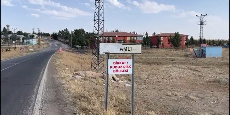 Şanlıurfa'da 2 mahalle kuduz nedeniyle karantinaya alındı