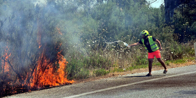 Selçuk'ta yeni yangın; alevler büyümeden söndürüldü