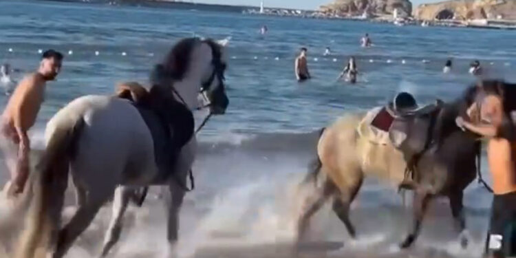 Şile plajında korku dolu anlar: Atlar insanların arasına daldı