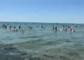 Silivri'de sıcaktan bunalanlar sahillere akın etti