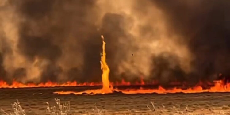 Şırnak'ta son 1 ayda 202 yangın çıktı