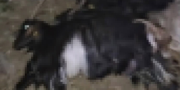 Gıda okuryazarlığı protokolü imzalandı