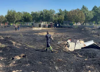 Sokak hayvanları besleme alanında yangın; 30 kulübe yandı
