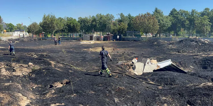 Sokak hayvanları besleme alanında yangın; 30 kulübe yandı