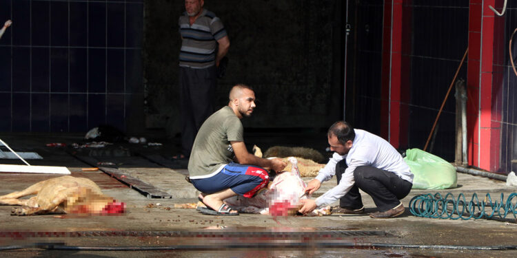 Sokakta kesilen kurbanlığın etinde bozulma olabilir