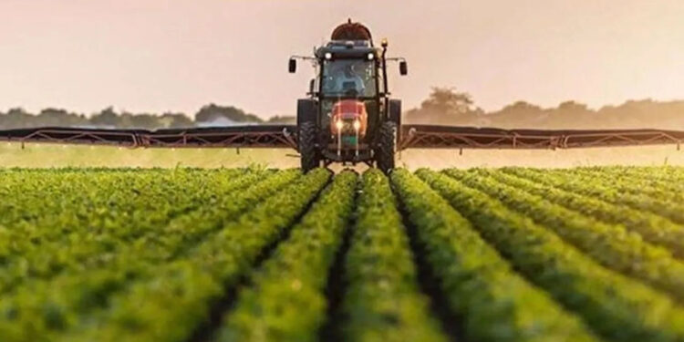 TÜİK: Devlet destekli tarım sigorta bedeli yüzde 115,5 arttı