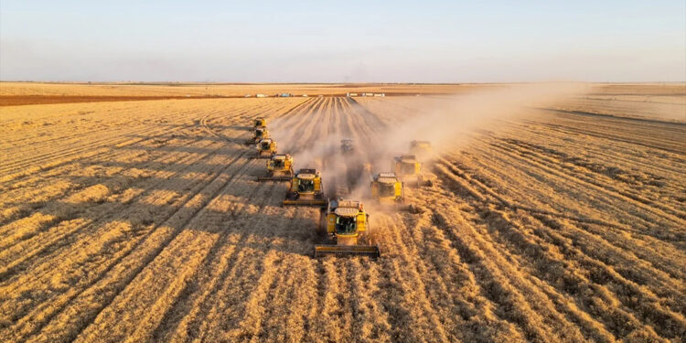 Tarım ürünleri üretici fiyatları aylık yüzde 0,91 azaldı