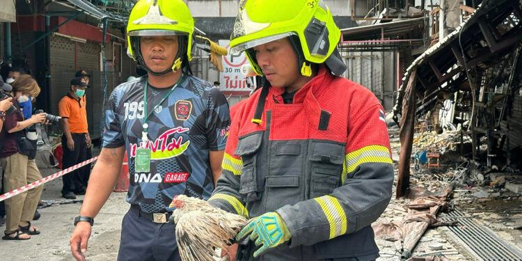 Tayland'da evcil hayvan pazarında yangın: Binlerce hayvan öldü
