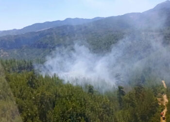 Tazı Kanyonu'nda çıkan orman yangını söndürüldü