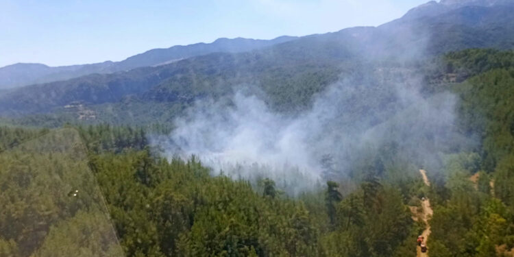 Tazı Kanyonu'nda çıkan orman yangını söndürüldü