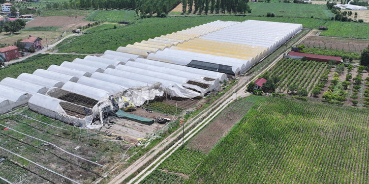 Tokat'ta kuvvetli rüzgar, çiçek serasını yıktı