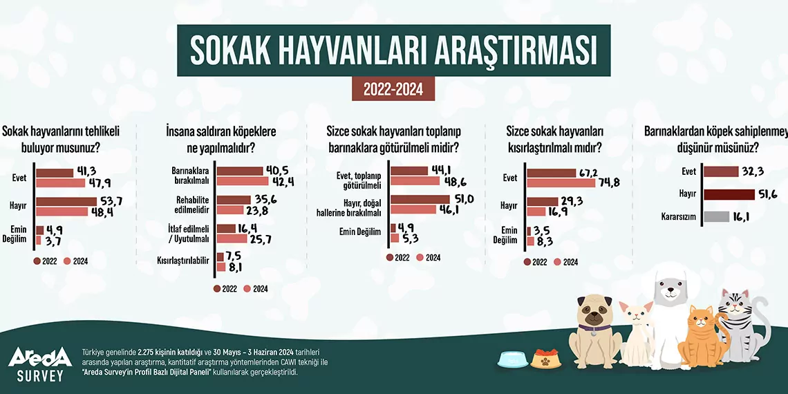 Türk halkının yüzde 47,9’u sokak hayvanlarını tehlikeli buluyor