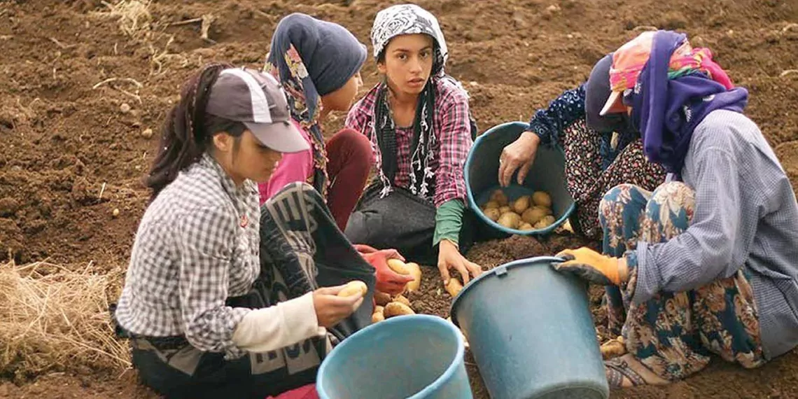 Türkiye'de çocuk işçi gerçeği