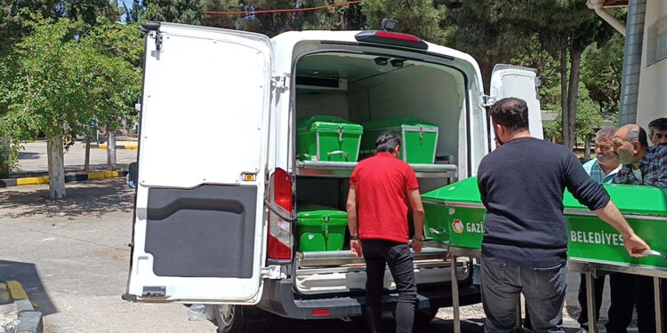 Türkiye'de kadın cinayetleri azaldı