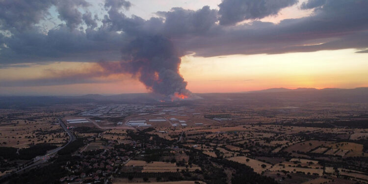 Uşak'ta orman yangını çıktı