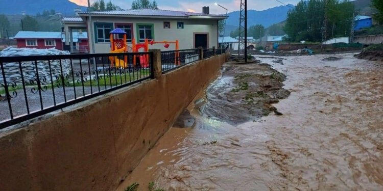 Van'da sağanak sele neden oldu; 52 hayvan öldü, evler hasar gördü