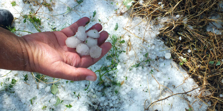 Yozgat'ta sağanak ve dolu ekili alanları vurdu