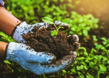 Yeterince üretken bir toplum muyuz?