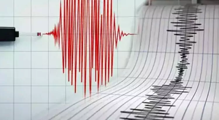 Manisa'da 4. 8 büyüklüğünde deprem