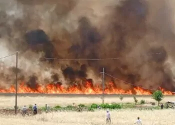 Diyarbakır'da 3 ayrı bölgede yangın