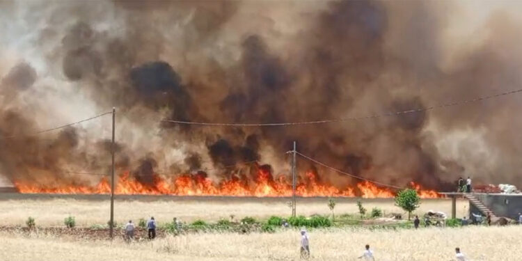 Diyarbakır'da 3 ayrı bölgede yangın