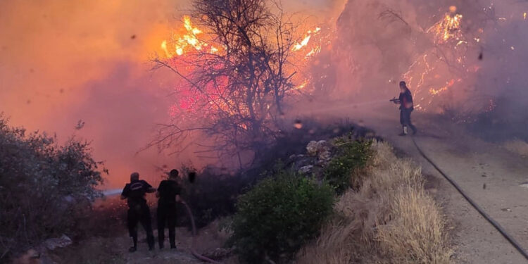 Feke'de yangın; 2 büyükbaş ve 1 köpek telef oldu