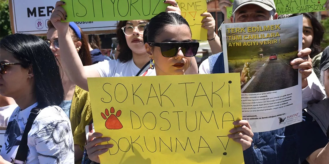 Sivas'ta bir grup hayvansever, düzenledikleri basın açıklaması ile sokak köpekleri için kısırlaştırma çağrısı yaptı.