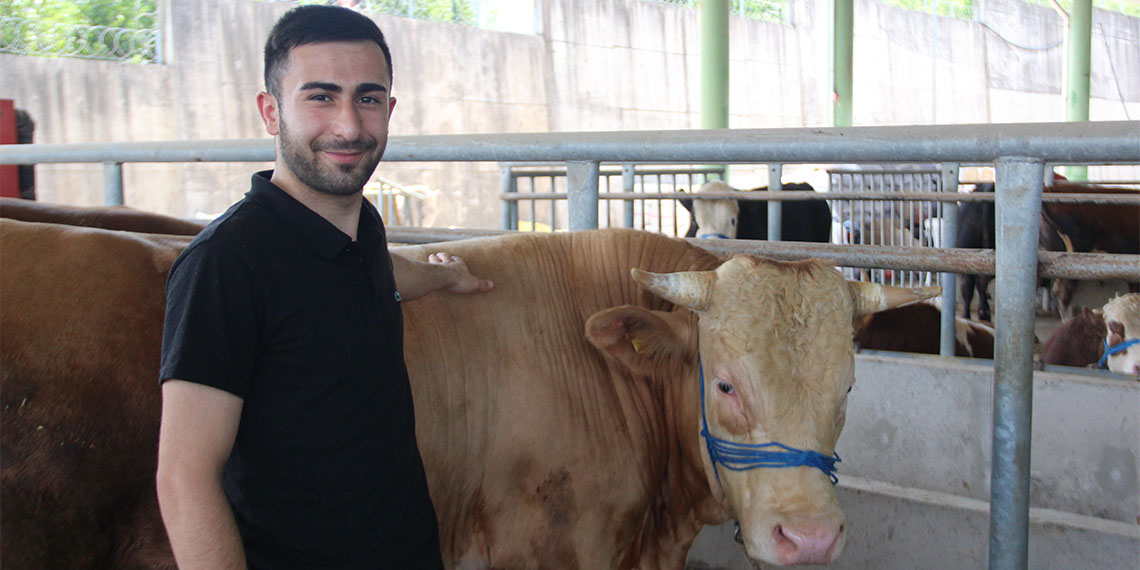 Kocaeli'deki hayvan pazarında satıcılar, satışların düşük olduğunu fiyatların 120 bin TL ile 230 bin TL arasında değişiklik gösterdiğini belirtti.