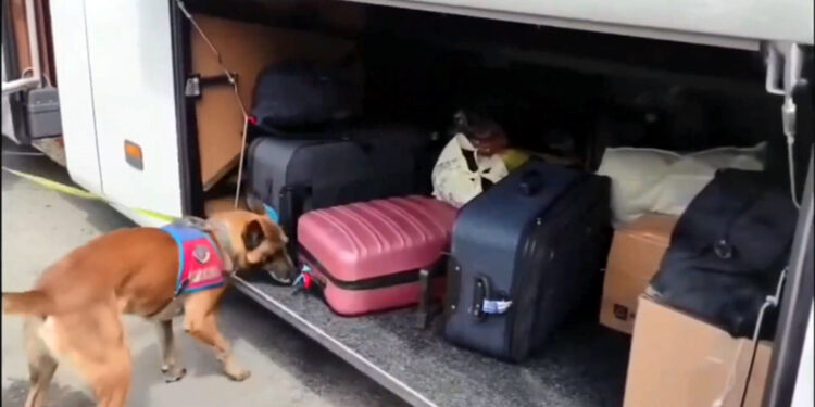 Narkoçelik-22 operasyonlarında 157 zehir taciri yakalandı