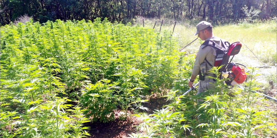 İçişleri Bakanı Yerlikaya, Narkoçelik-22 operasyonlarında 157 zehir taciri ve sokak satıcısının yakalandığını duyurdu.