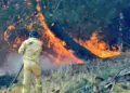 Valilikten "orman yangınlarına karşı dikkat" uyarısı