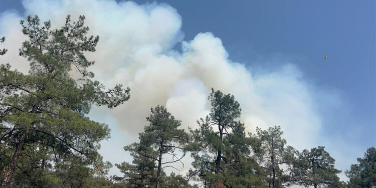 Bursa'da orman yangını; 3 helikopter müdahale ediyor