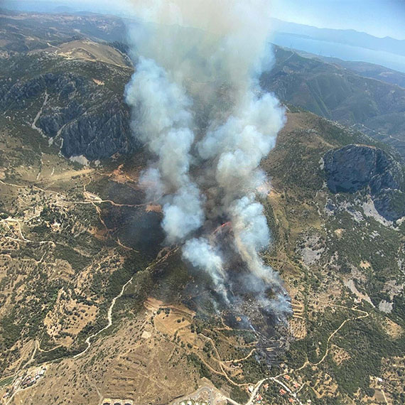 Yangınların iklimle hiçbir alakası yok, kesinlikle insan hatası