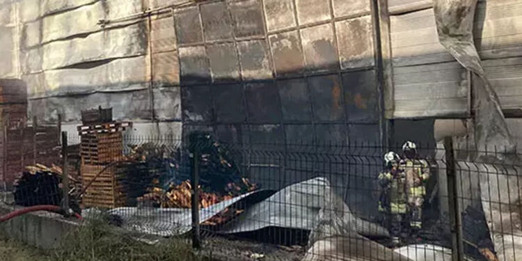 Ankara'da palet fabrikasında yangın