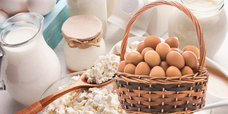 Tavuk eti, tavuk yumurtası ve içme sütü üretimi azaldı