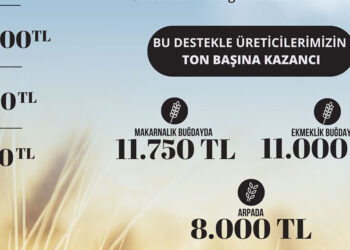2024 hububat satış fiyatları belirlendi