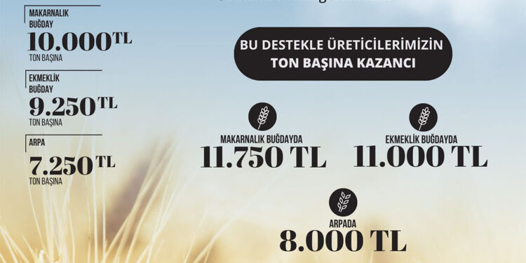 2024 hububat satış fiyatları belirlendi