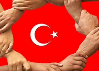 Türklerin Kürtlerle değil, PKK ile mücadelesi var