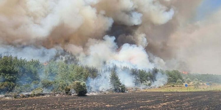 Çanakkale'nin Eceabat ilçesinde orman yangını