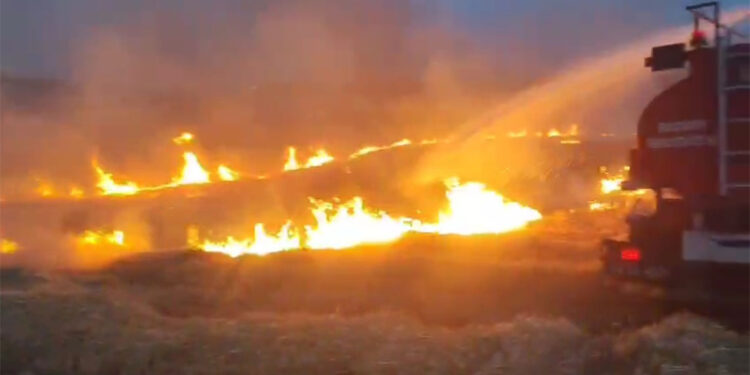 Batman'daki anız yangınında 1500 dönümlük alan zarar gördü