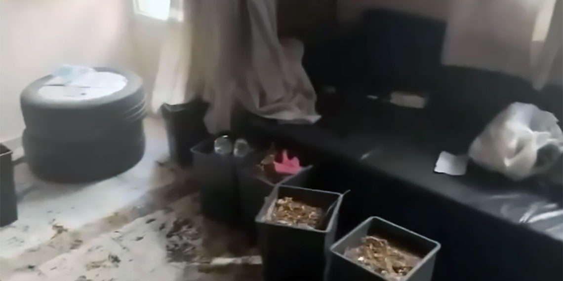 Adana'da bir apartman dairesine yangın ihbarına giden itfaiye ve polis ekipleri, salona kurulan iklimlendirme sistemli uyuşturucu serasıyla karşılaştı.