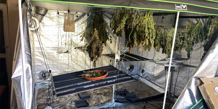 Yangın ihbarına giden itfaiye uyuşturucu serasıyla karşılaştı