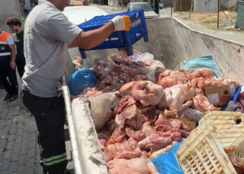 Avcılar'da, kokmuş tavuk eti deposu ortaya çıkarıldı