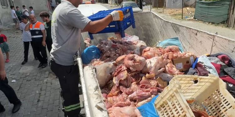 Avcılar'da, kokmuş tavuk eti deposu ortaya çıkarıldı