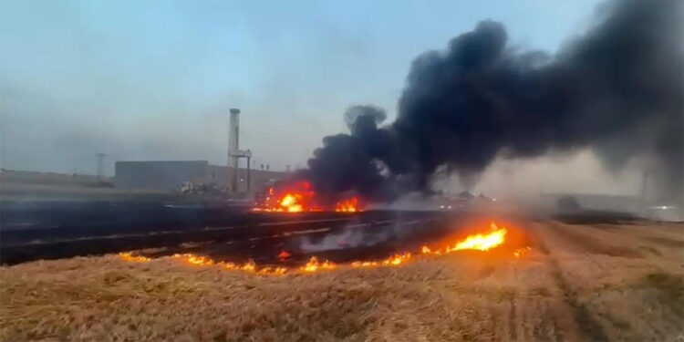 TIR'da çıkan yangın buğday tarlasına sıçradı