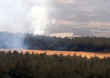 Tekirdağ'da ormanlık alana yıldırım düştü