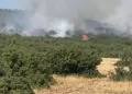 Kahramanmaraş'taki yangınlardan biri kontrol altında