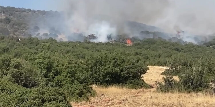 Kahramanmaraş'taki yangınlardan biri kontrol altında