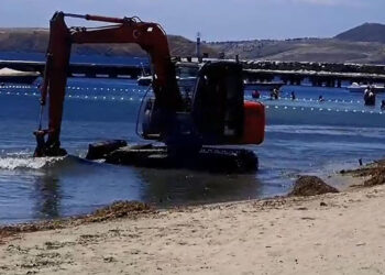Deniz çayırlarını söken kepçe operatörüne ceza