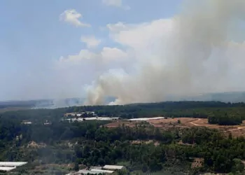 Antalya'nın aksu ilçesinde orman yangını